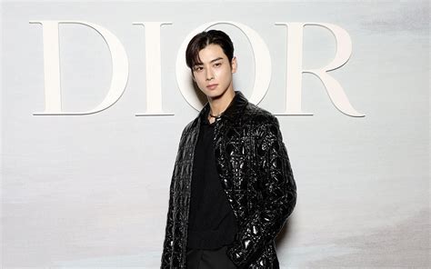 kpop dior